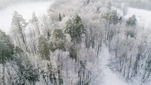 Flying above spruce forest at 30 seconds. Great background for your project. HD 1920x1080