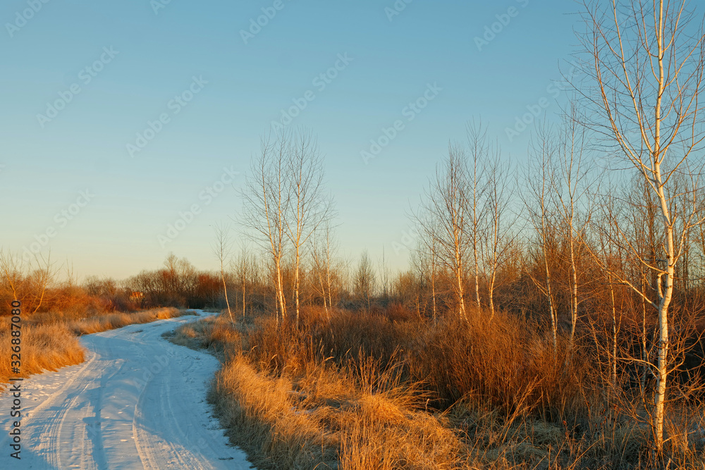 winter road in the field at sunrise