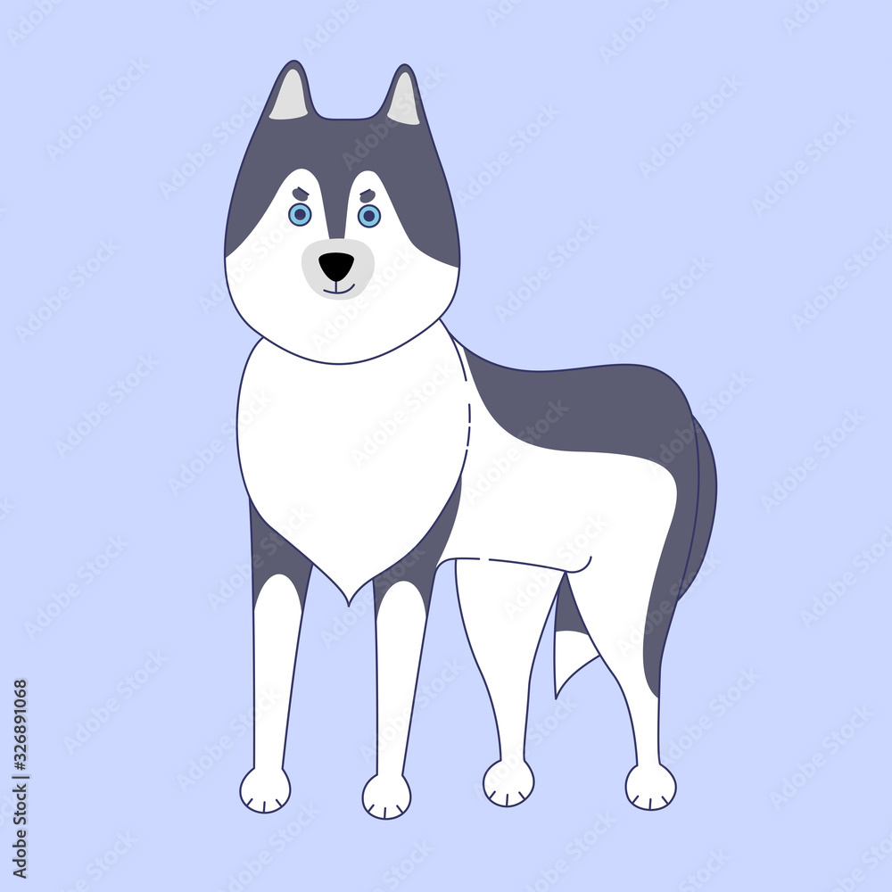 Obraz premium Standing husky dog on blue background. Vector illustration in cute cartoon style