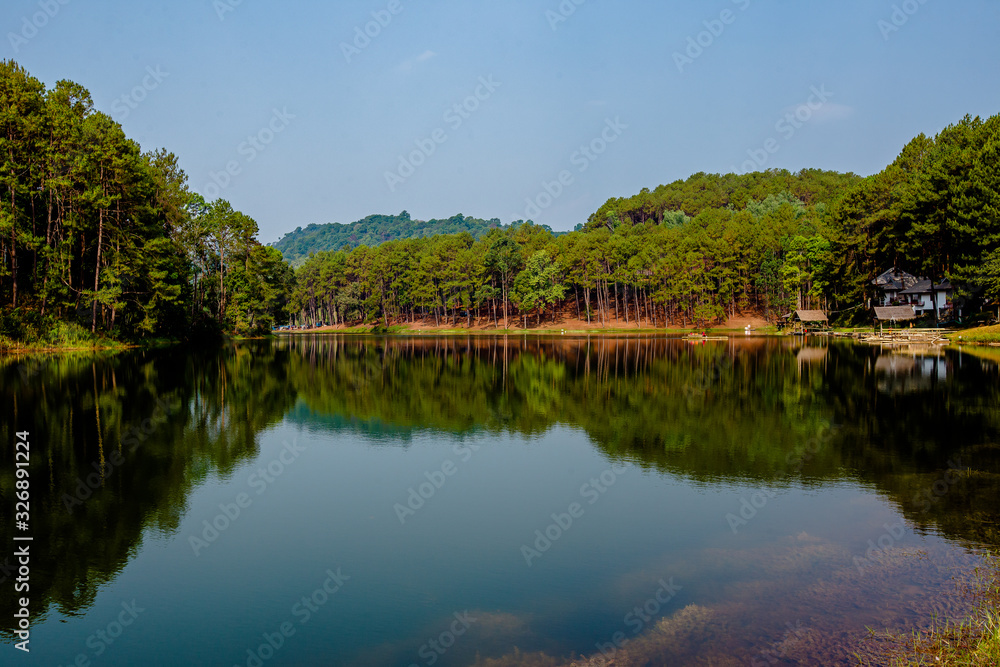 Asia, Mae Hong Son Province, Thailand, Backgrounds, Bamboo - Material
