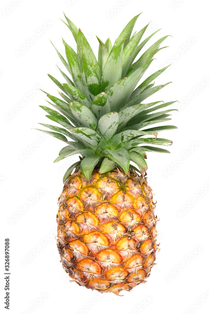 Fototapeta premium single whole pineapple isolated on white backgroun