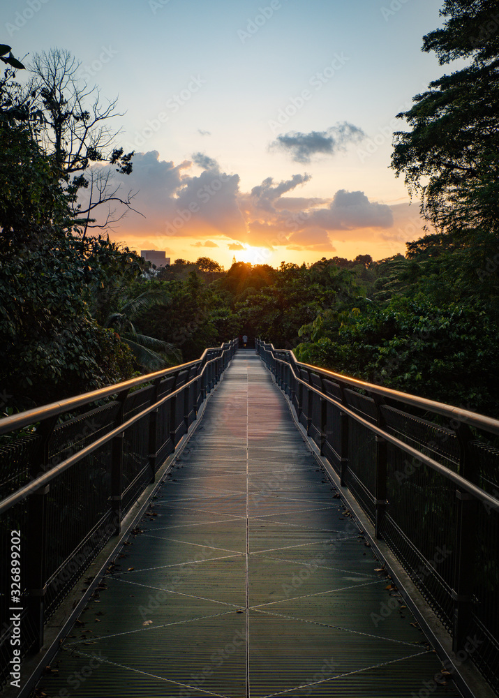 Metal bridge at Mount Faber treetop forest walk in Singapore