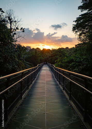 Photography Metal bridge at Mount Faber treetop forest walk in Singapore
