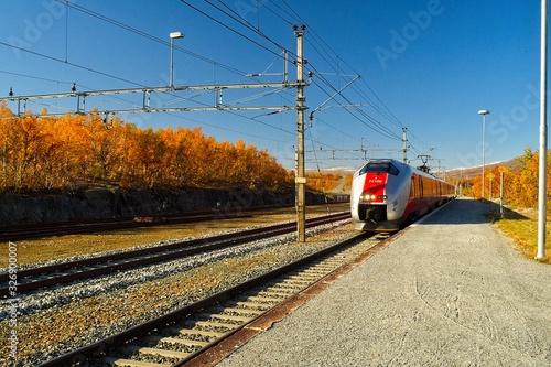 Train arriving on the station with autumn forest around and a blue sky. 