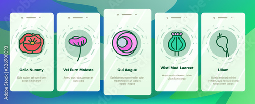 Poppy Natural Flower Onboarding Icons Set Vector. Poppy Seeds And Bouquet, Petals And Bud, Syringe With Drugs And Crossed Mark Illustrations