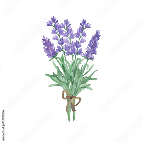 Provence lavender flowers bouquet isolated on white background. Hand drawn watercolor illustration.