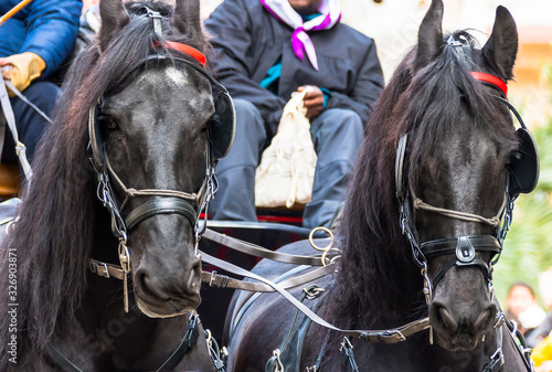 Horse parade at the party of the three tombs in Igualada, Barcelona
