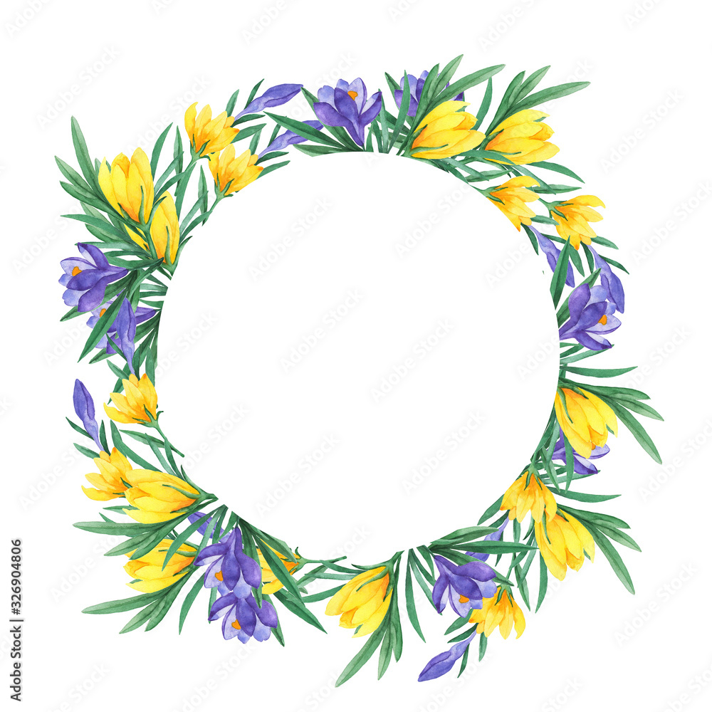 Spring yellow and lilac crocus flowers and green leaves frame isolated on white background. Hand drawn watercolor illustration.