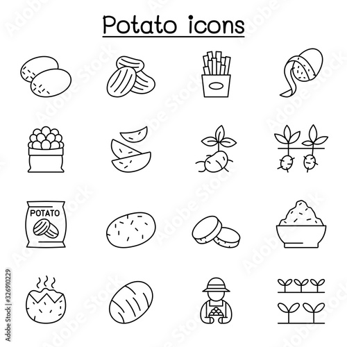 potato icon set in thin line style