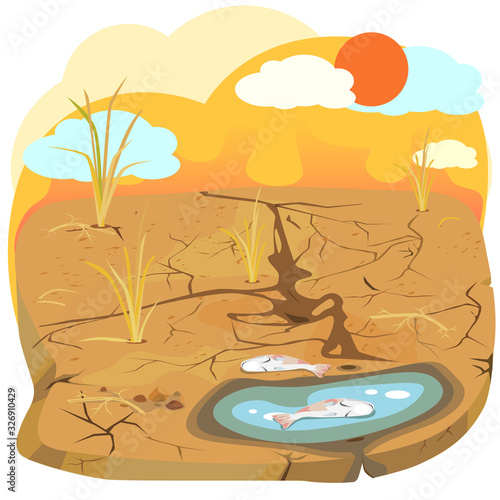 Arid - vector of dried fields rice.