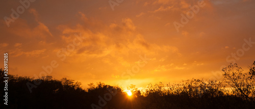 Banni  re de coucher de soleil de ciel jaune o   le soleil est    l horizon des arbres