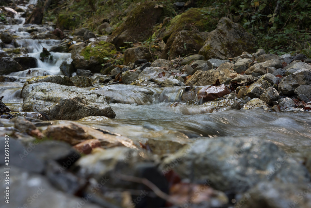 Bach im Wald Bach im Wald