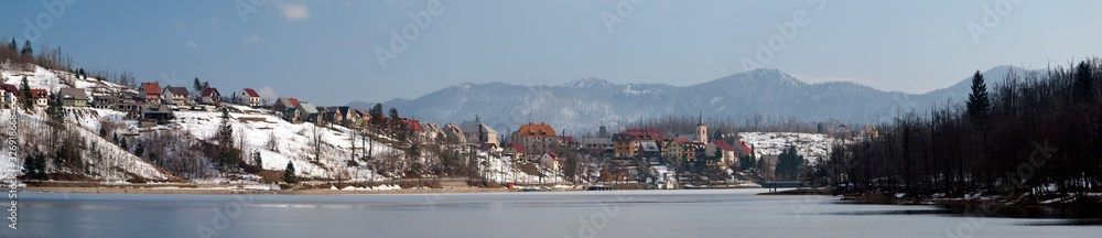 Fototapeta premium forest