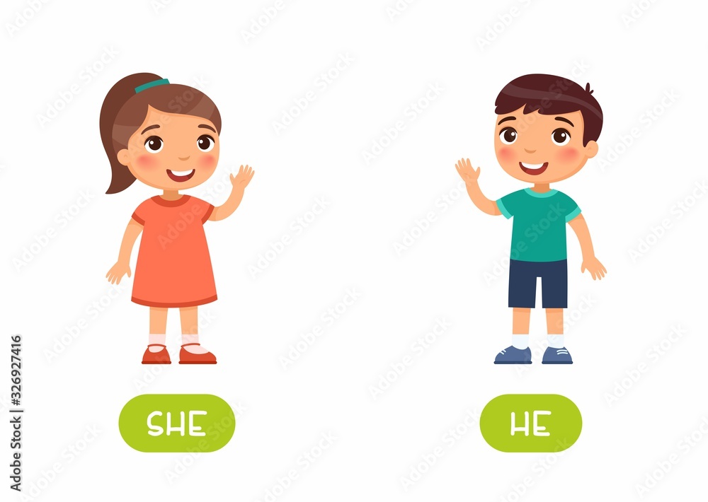 She and he antonyms flashcard vector template. Word card for english ...