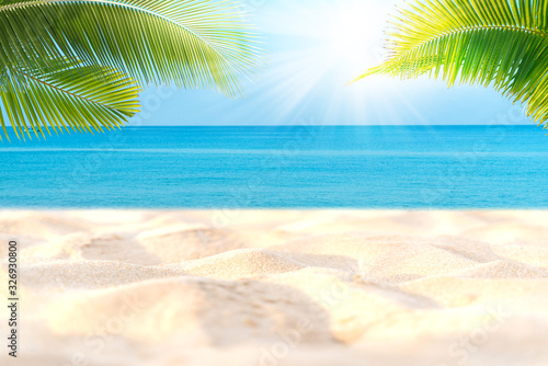 Tropical sea beach with sand  ocean  palm leaves and blue sky