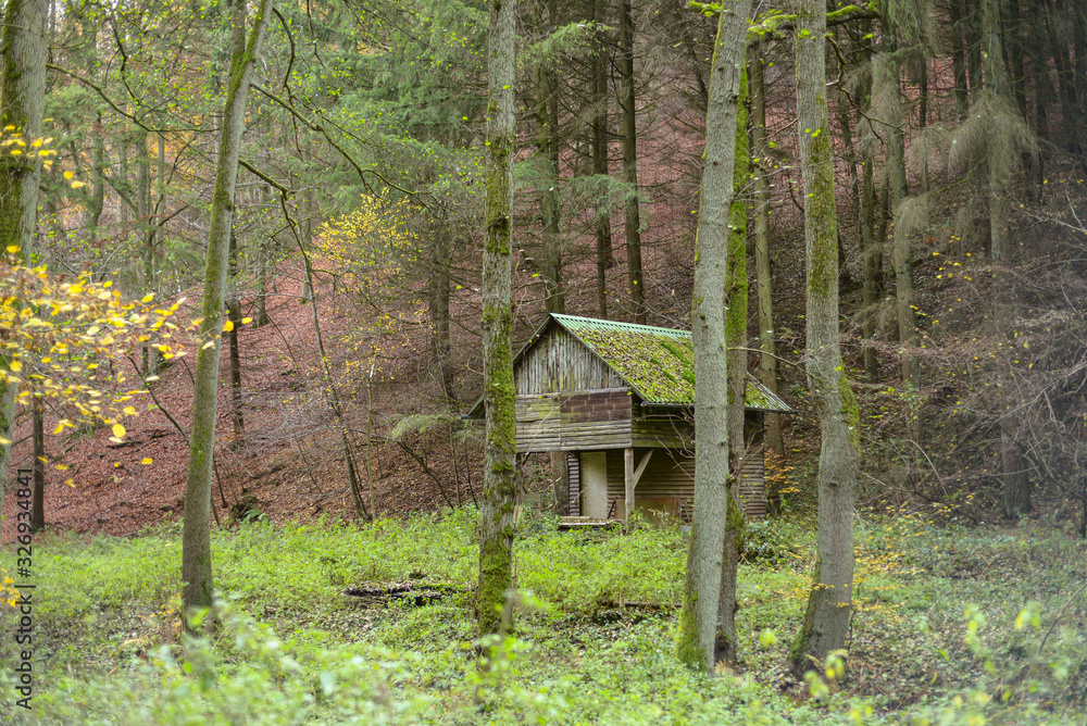 Wooden, old house in the woods in autumn scenery, shelter in the woods. Wooden, old house in the woods in autumn scenery, shelter in the woods.