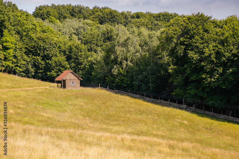 Fototapeta premium Tinny cottage built in isolated rural area