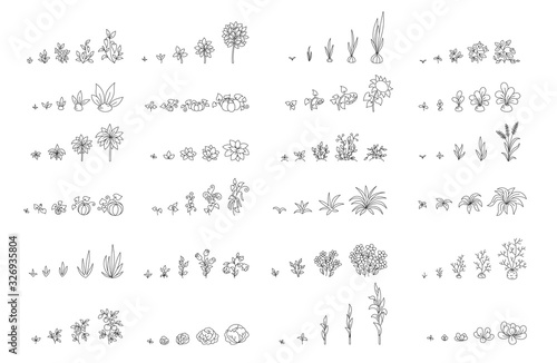 Agricultural plants, growth set. Growing plants animation progression. Planting. Sketch hand drawn black line. Flat vector infographic illustration stock clipart.