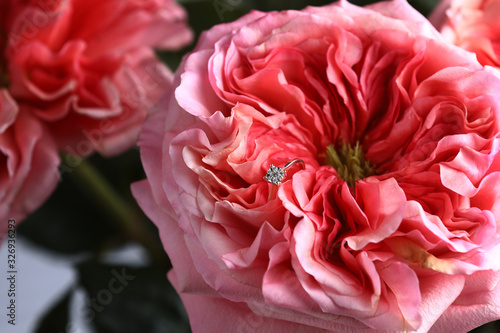 gold ring with diamond. Diamond wedding rings on rose petals. Diamond Ring On pink Rose. Selective focus
