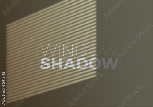 Vector Transparent Realistic Shadow of Window with Window Blind. Decorative Design Element for Collages