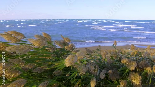 Lake Balkhash. Kazakhstan. 