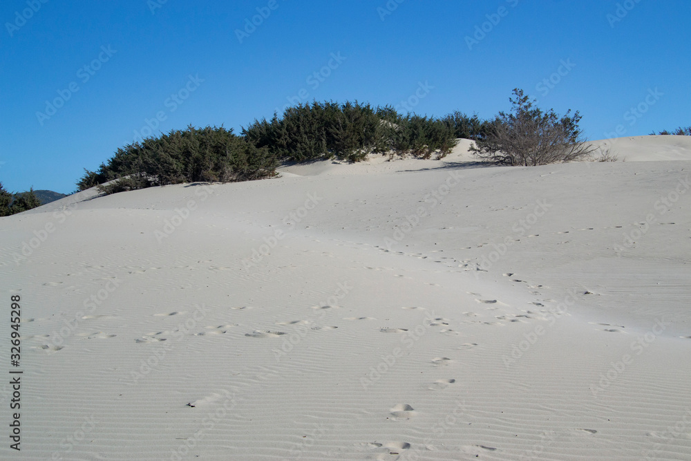 Le bianche dune di Is Arenas Biancas a Teulada