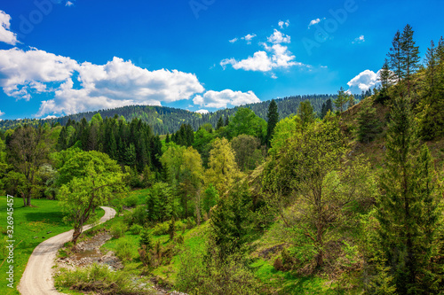wiosna w Pieninach w południowej Polsce © Janusz Lipiński