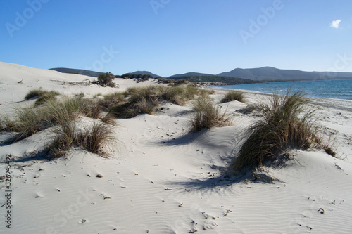 Fototapeta Naklejka Na Ścianę i Meble -  Le bianche dune di Is Arenas Biancas a Teulada