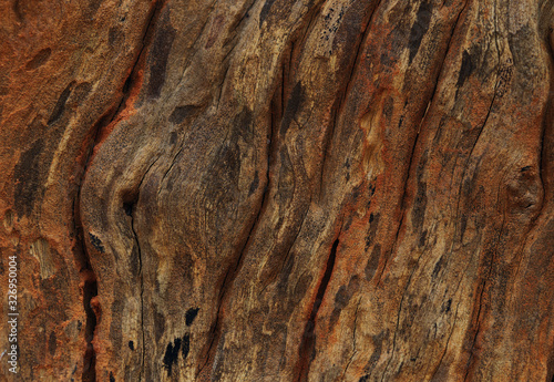 Background of the texture of decaying old tree trunk