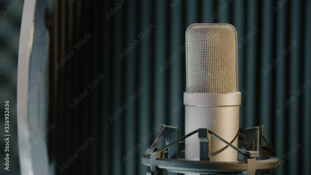 Close-Up of an absorber with professional microphone in the home studio.
Recording concept. Close-Up of an absorber with professional microphone in the home studio.
Recording concept.