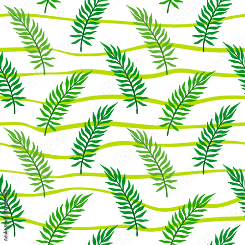 Palm leaf seamless pattern. Areca leaves vector illustration isolated on white background.