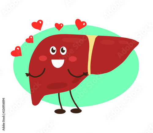 Healthy liver on a blue background. Cartoon. Vector illustration.