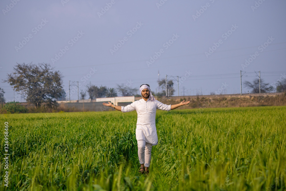 Happy indian farmer walking and spreading his arms in his growing fields Happy indian farmer walking and spreading his arms in his growing fields