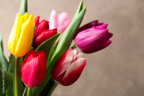 Beautiful spring tulips on light background, closeup