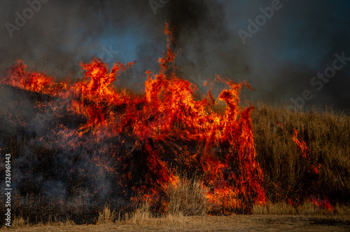 生きている様な炎の形 © SUGICK