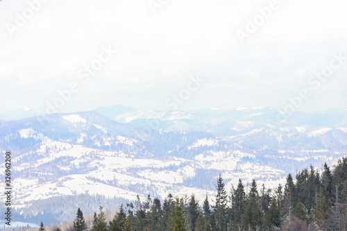 Beautiful view of conifer forest on snowy winter day