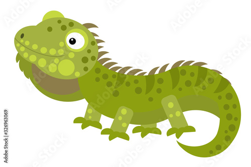 cartoon american happy and funny lizard iguana isolated on white background- illustration