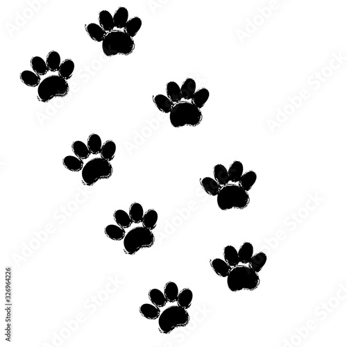 Traces of dirty dog paws. Vector image of animal tracks.