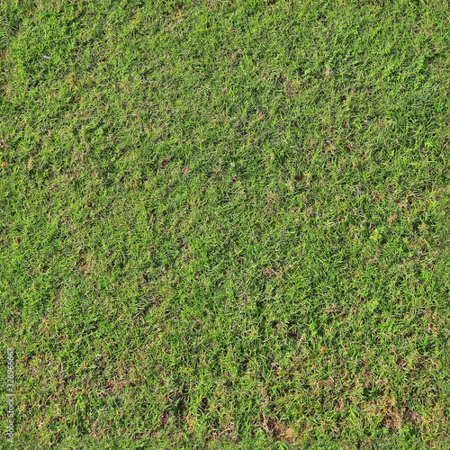 High resolution foto realistic seamless texture of green grass and plants photo