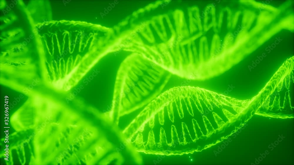 structure of the DNA double helix animation, DNA molecular and biologigical footage concept structure of the DNA double helix animation, DNA molecular and biologigical footage concept