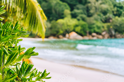 Holiday vacation background. Exotic blurred paradise beach and lush green foliage in foreground