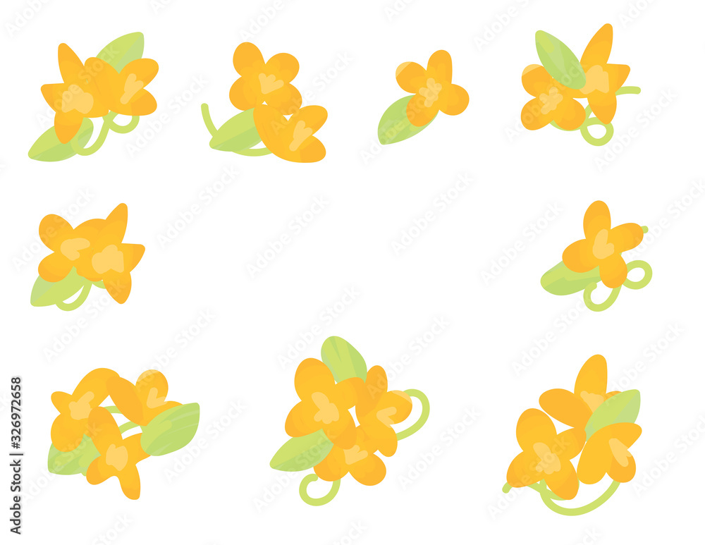 黄色い花のイラスト　セット