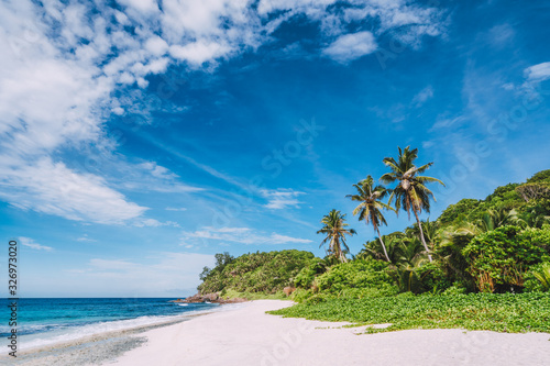 Tropical remote secluded sandy beach with coconut palm trees and blue sky with moving white clouds above