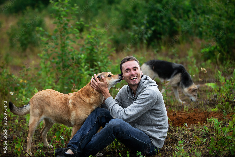 Joyful man having fun with dog on meadow Joyful man having fun with dog on meadow