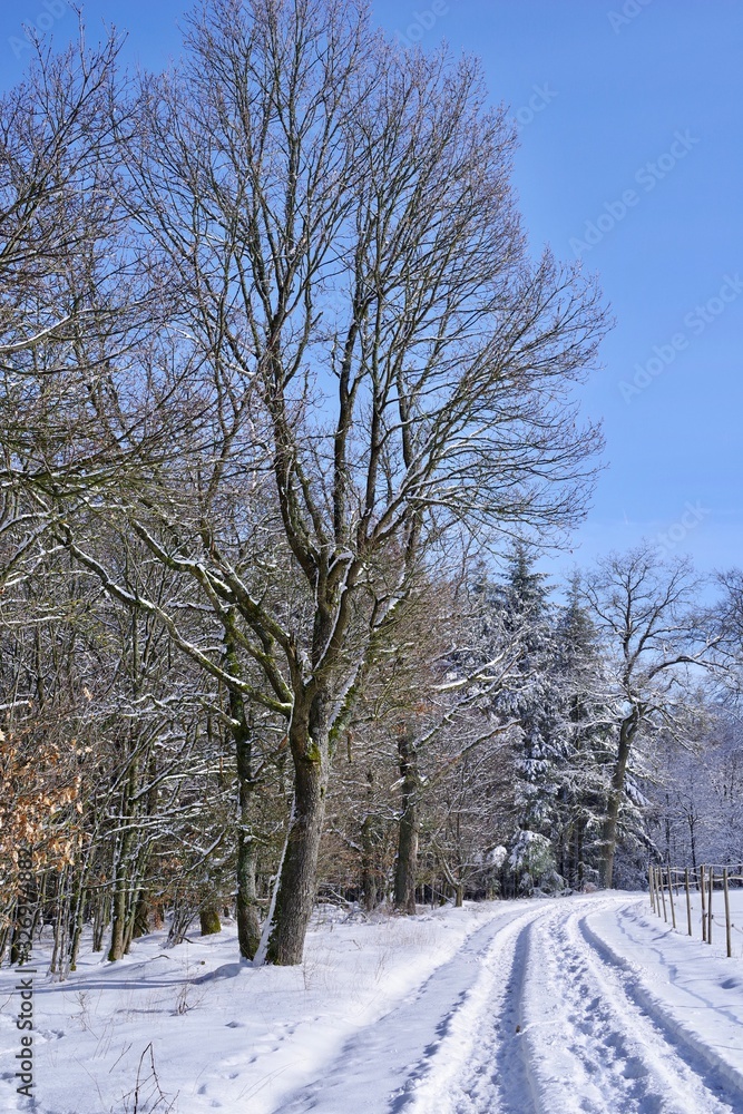 Obraz premium Winterlandschaft