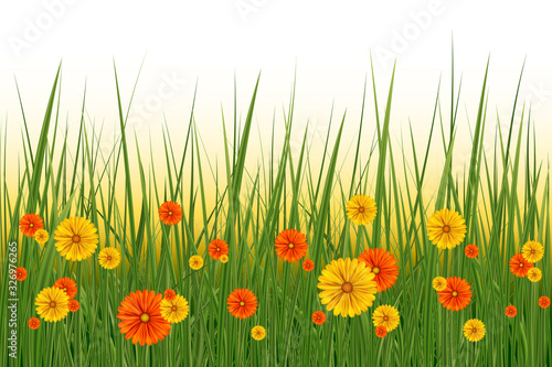 Green Grass with flowers 