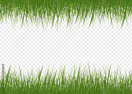 Realistic green grass