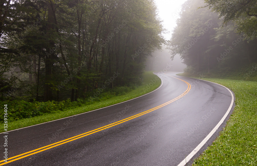 Fototapeta premium Curvy road on a misty forest