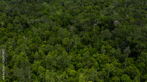 Aerial top view ecosystem and healthy environment concepts and background, Aerial view tropical climate jungle forest tree.