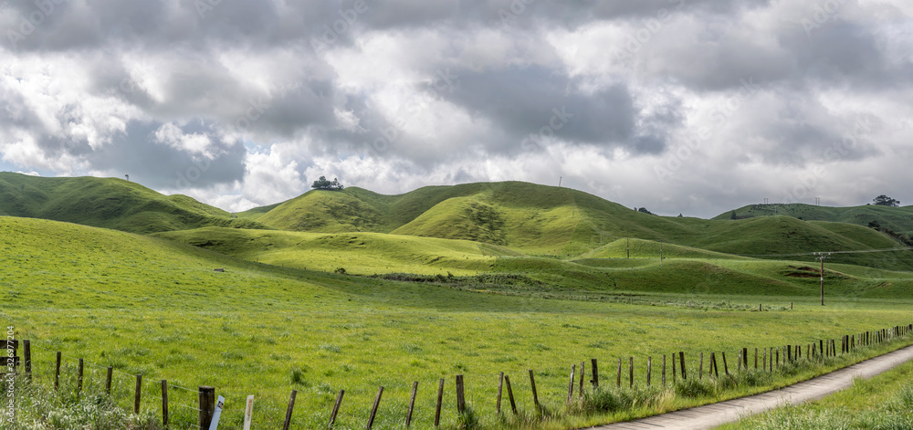 mild green countyside landscape, near Whakarewarewa, Bay of Plenty, New Zealand